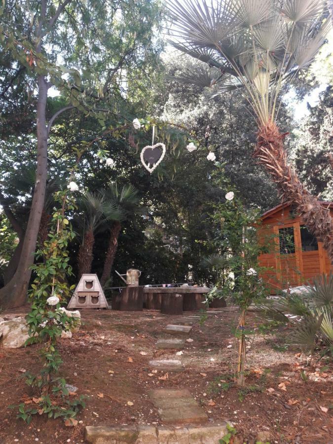 Il Gatto E Il Violino Villa Lido di Fermo Luaran gambar
