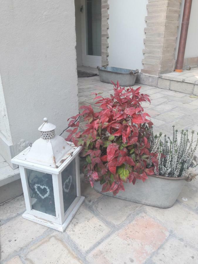 Il Gatto E Il Violino Villa Lido di Fermo Luaran gambar