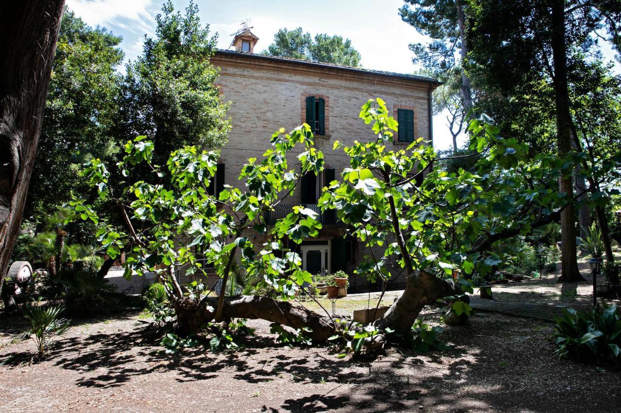 Il Gatto E Il Violino Villa Lido di Fermo Luaran gambar